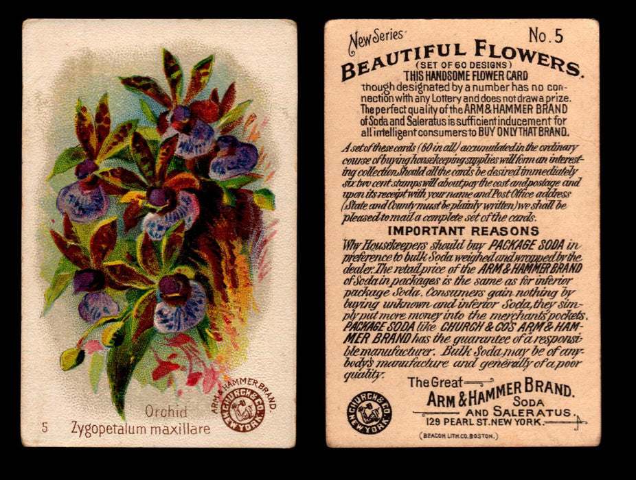 Beautiful Flowers New Series You Pick Singles Card #1-#60 Arm & Hammer 1888 J16 #5 Orchid - Zygopetalum Maxillare  - TvMovieCards.com