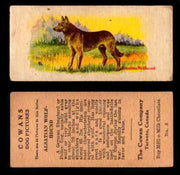 1929 V13 Cowans Dog Pictures Vintage Trading Cards You Pick Singles #1-24 #5 Alsatian Wolf Hound  - TvMovieCards.com