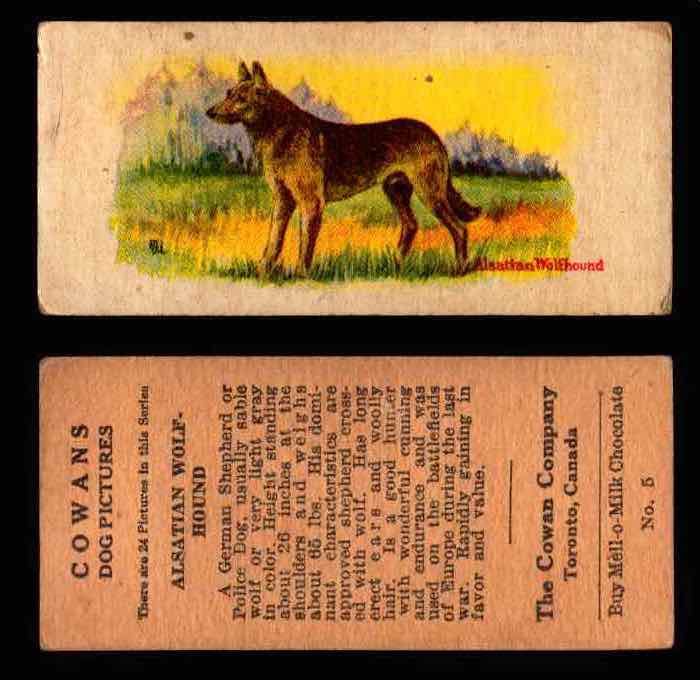 1929 V13 Cowans Dog Pictures Vintage Trading Cards You Pick Singles #1-24 #5 Alsatian Wolf Hound  - TvMovieCards.com