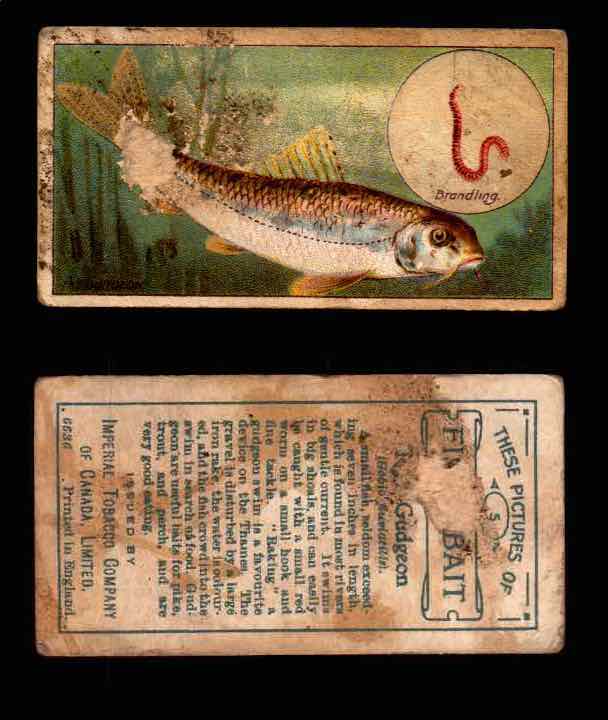 1910 Fish and Bait Imperial Tobacco Vintage Trading Cards You Pick Singles #1-50 #5 The Gudgeon  - TvMovieCards.com