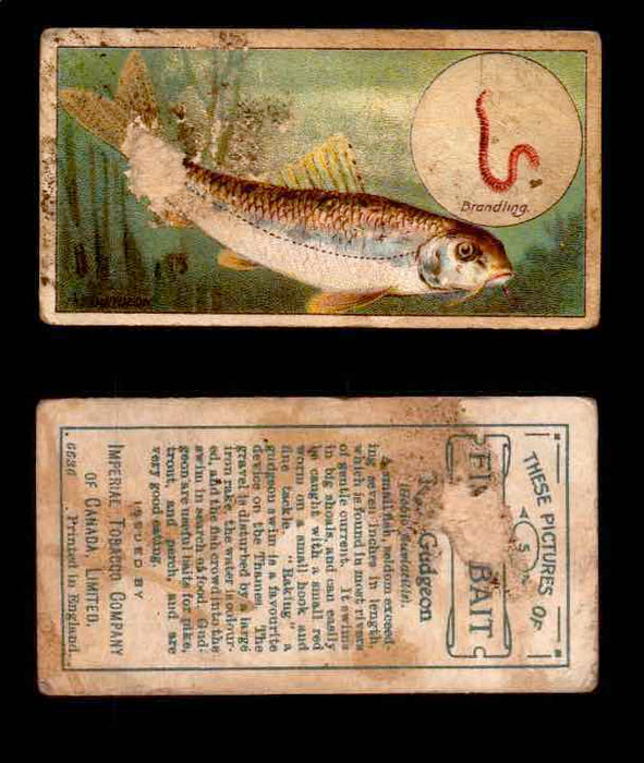 1910 Fish and Bait Imperial Tobacco Vintage Trading Cards You Pick Singles #1-50 #5 The Gudgeon  - TvMovieCards.com