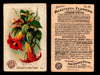 Beautiful Flowers New Series You Pick Singles Card #1-#60 Arm & Hammer 1888 J16 #60 Datura or Trumpet Flower  - TvMovieCards.com