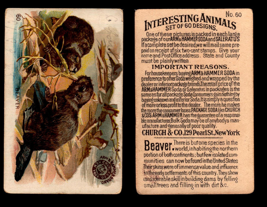 Interesting Animals You Pick Single Card #1-60 1892 J10 Church Arm & Hammer #60 Beaver  - TvMovieCards.com