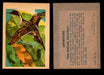 1956 Adventure Vintage Trading Cards Gum Products #1-#100 You Pick Singles #64 The Pintail Flyaway  / Duck  - TvMovieCards.com