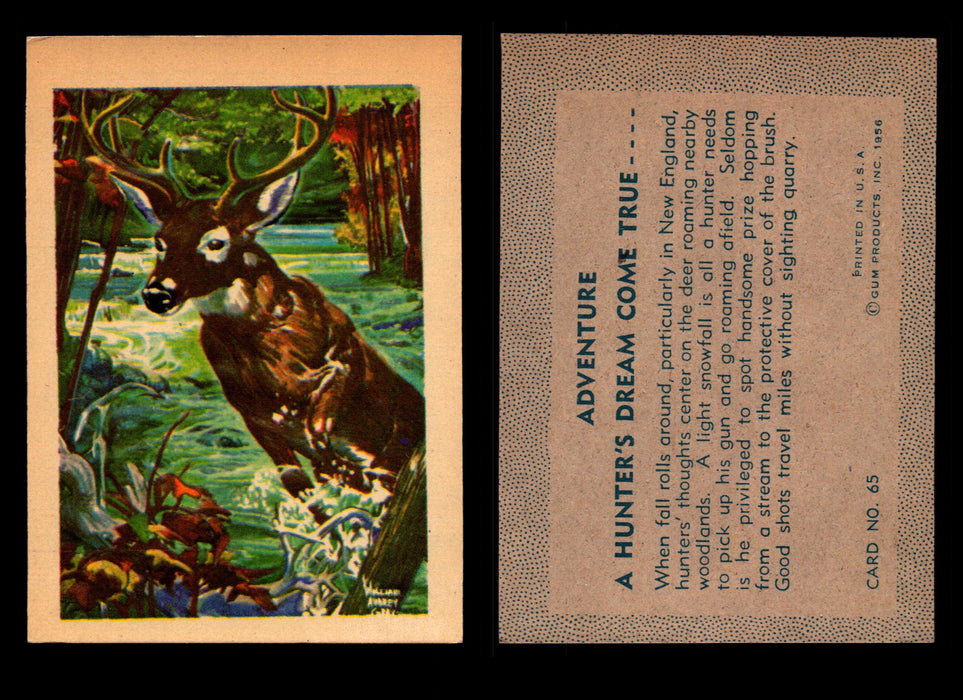 1956 Adventure Vintage Trading Cards Gum Products #1-#100 You Pick Singles #65 Deer Hunting/ A Hunter's Dream Come True  - TvMovieCards.com