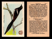 Birds - Useful Birds of America 3rd Series You Pick Singles Church & Dwight J-7 #6 American Magpie  - TvMovieCards.com