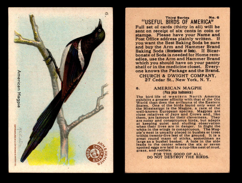 Birds - Useful Birds of America 3rd Series You Pick Singles Church & Dwight J-7 #6 American Magpie  - TvMovieCards.com