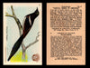 Birds - Useful Birds of America 3rd Series You Pick Singles Church & Dwight J-7 #6 American Magpie  - TvMovieCards.com