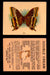 1925 Harry Horne Butterflies FC2 Vintage Trading Cards You Pick Singles #1-50 #6  - TvMovieCards.com