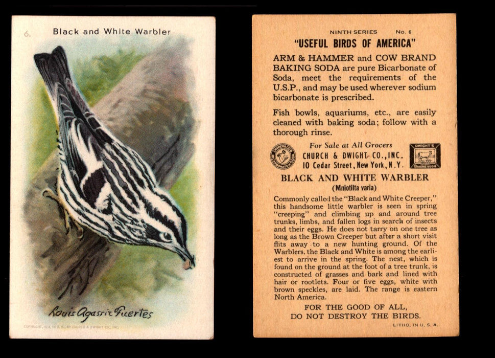 Birds - Useful Birds of America 9th Series You Pick Singles Church & Dwight J-9 #6 Black and White Warbler  - TvMovieCards.com