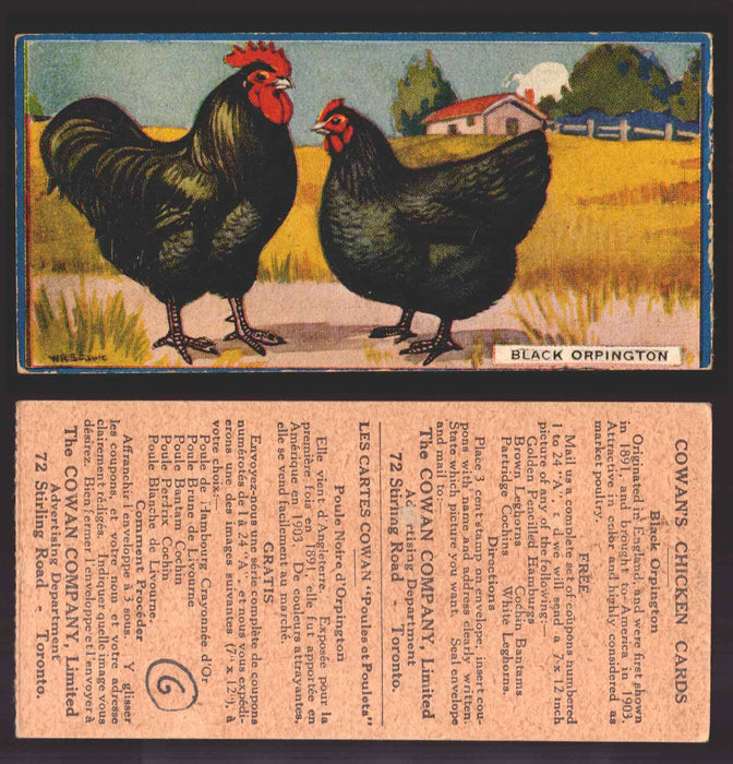 1924 V12 Cowans Chicken Pictures Vintage Trading Cards You Pick Singles #1-24 #6 Black Orpington  - TvMovieCards.com