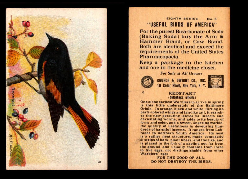 Birds - Useful Birds of America 8th Series You Pick Singles Church & Dwight J-9 #6 Redstart  - TvMovieCards.com