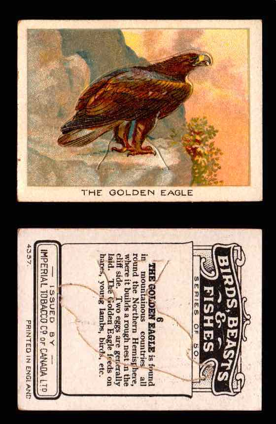 1923 Birds, Beasts, Fishes C1 Imperial Tobacco Vintage Trading Cards Singles #6 The Golden Eagle  - TvMovieCards.com