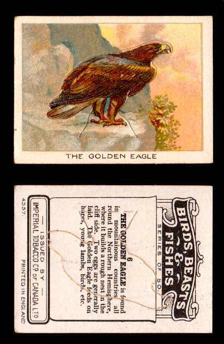 1923 Birds, Beasts, Fishes C1 Imperial Tobacco Vintage Trading Cards Singles #6 The Golden Eagle  - TvMovieCards.com