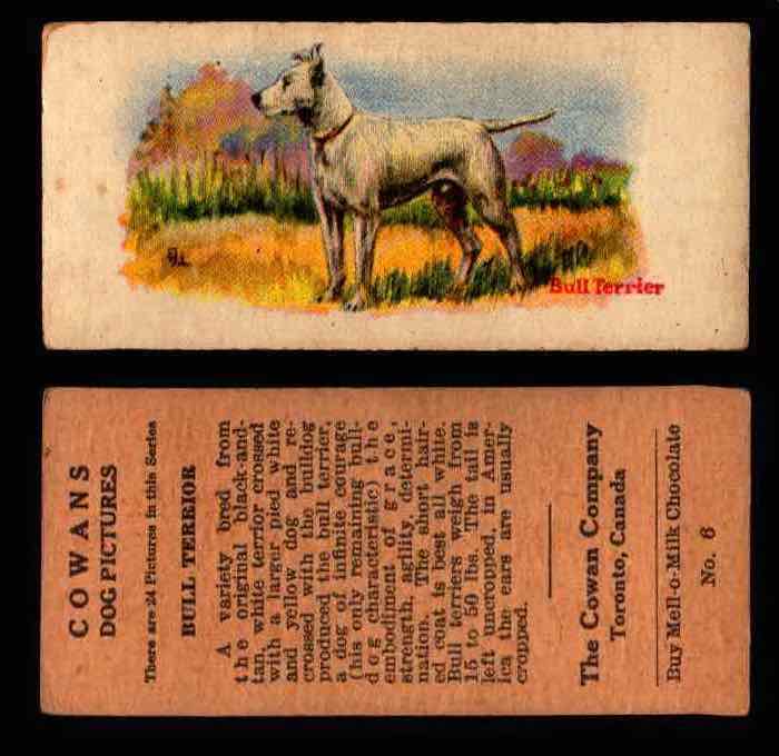 1929 V13 Cowans Dog Pictures Vintage Trading Cards You Pick Singles #1-24 #6 Bull Terrior  - TvMovieCards.com