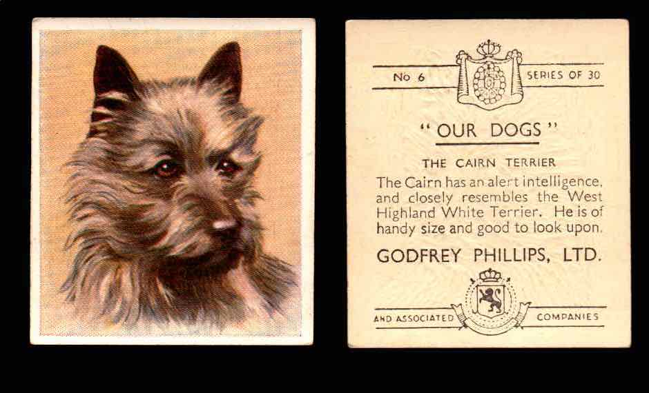 1939 Godfrey Phillips "Our Dogs" Tobacco You Pick Singles Trading Cards #1-30 #6 The Cairn Terrier  - TvMovieCards.com