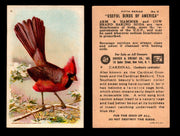 Birds - Useful Birds of America 5th Series You Pick Singles Church & Dwight J-9 #6 Cardinal  - TvMovieCards.com