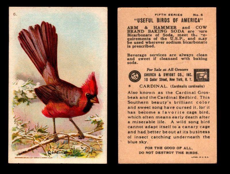 Birds - Useful Birds of America 5th Series You Pick Singles Church & Dwight J-9 #6 Cardinal  - TvMovieCards.com