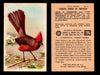 Birds - Useful Birds of America 5th Series You Pick Singles Church & Dwight J-9 #6 Cardinal  - TvMovieCards.com