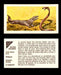 Nature Untamed Nabisco Vintage Trading Cards You Pick Singles #1-24 #6 Mongoose  - TvMovieCards.com
