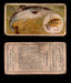 1910 Fish and Bait Imperial Tobacco Vintage Trading Cards You Pick Singles #1-50 #6 The Salmon  - TvMovieCards.com