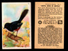 Birds - Useful Birds of America 7th Series You Pick Singles Church & Dwight J-9 #6 Towhee  - TvMovieCards.com