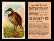 Birds - Useful Birds of America 6th Series You Pick Singles Church & Dwight J-9 #6 Quail  - TvMovieCards.com