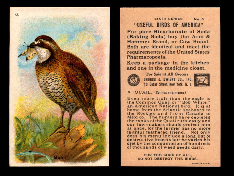 Birds - Useful Birds of America 6th Series You Pick Singles Church & Dwight J-9 #6 Quail  - TvMovieCards.com