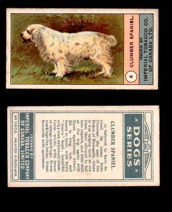 1924 Dogs Series Imperial Tobacco Vintage Trading Cards U Pick Singles #1-24 #6 Clumber Spaniel  - TvMovieCards.com