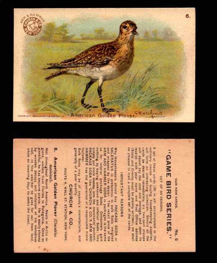 1904 Arm & Hammer Game Bird Series Vintage Trading Cards Singles #1-30 #6 American Golden Plover  - TvMovieCards.com