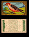 1910 Game Bird Series C14 Imperial Tobacco Vintage Trading Cards Singles #1-30 #6 The Woodpecker  - TvMovieCards.com