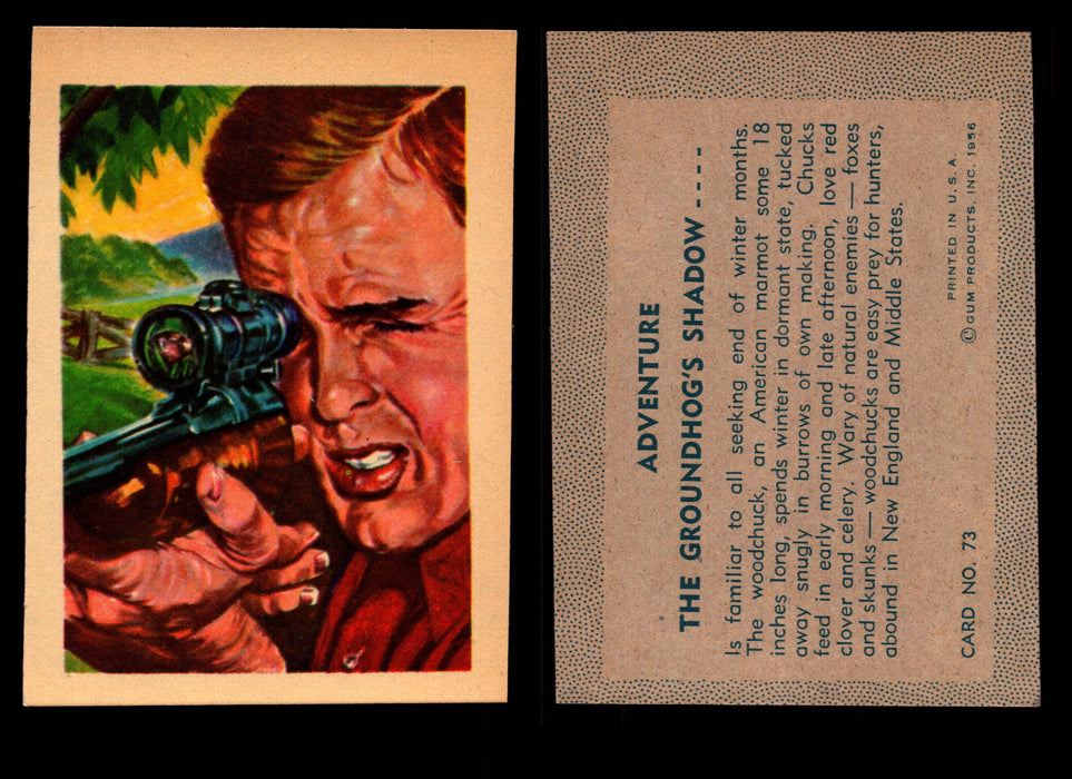 1956 Adventure Vintage Trading Cards Gum Products #1-#100 You Pick Singles #73 Hunting / THe Groundhogs Shadow  - TvMovieCards.com