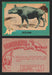 1961 Dinosaur Series Vintage Trading Card You Pick Singles #1-80 Nu Card 79	Entelodon  - TvMovieCards.com