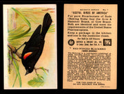 Birds - Useful Birds of America 7th Series You Pick Singles Church & Dwight J-9 #7 Red-winged Blackbird  - TvMovieCards.com