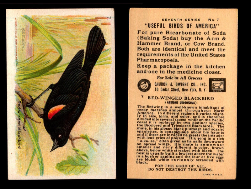 Birds - Useful Birds of America 7th Series You Pick Singles Church & Dwight J-9 #7 Red-winged Blackbird  - TvMovieCards.com