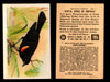 Birds - Useful Birds of America 7th Series You Pick Singles Church & Dwight J-9 #7 Red-winged Blackbird  - TvMovieCards.com