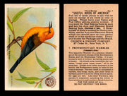 Birds - Useful Birds of America 3rd Series You Pick Singles Church & Dwight J-7 #7 Prothonotary Warbler  - TvMovieCards.com
