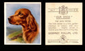1939 Godfrey Phillips "Our Dogs" Tobacco You Pick Singles Trading Cards #1-30 #7 The Irish Setter  - TvMovieCards.com