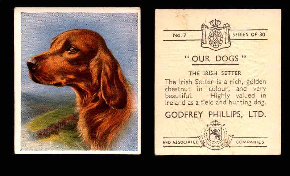 1939 Godfrey Phillips "Our Dogs" Tobacco You Pick Singles Trading Cards #1-30 #7 The Irish Setter  - TvMovieCards.com