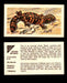 Nature Untamed Nabisco Vintage Trading Cards You Pick Singles #1-24 #7 Gila Monster  - TvMovieCards.com