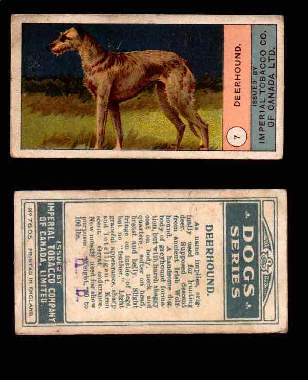 1924 Dogs Series Imperial Tobacco Vintage Trading Cards U Pick Singles #1-24 #7 Deerhound  - TvMovieCards.com