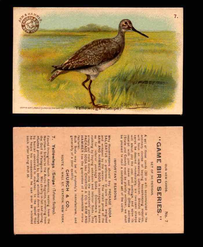 1904 Arm & Hammer Game Bird Series Vintage Trading Cards Singles #1-30 #7 Yellowlegs (Snipe)  - TvMovieCards.com