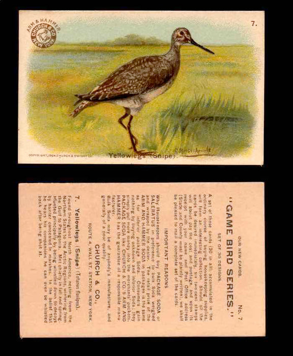 1904 Arm & Hammer Game Bird Series Vintage Trading Cards Singles #1-30 #7 Yellowlegs (Snipe)  - TvMovieCards.com