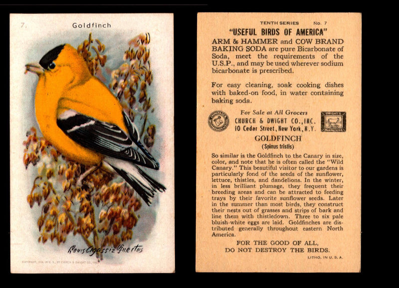 Birds - Useful Birds of America 10th Series You Pick Singles Church & Dwight J-9 #7 Goldfinch  - TvMovieCards.com