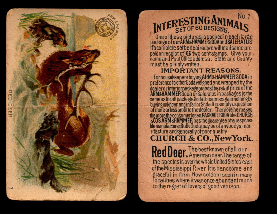 Interesting Animals You Pick Single Card #1-60 1892 J10 Church Arm & Hammer #7 Red Deer Damaged  - TvMovieCards.com