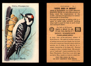 Birds - Useful Birds of America 9th Series You Pick Singles Church & Dwight J-9 #7 Downy Woodpecker  - TvMovieCards.com