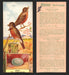 1924 Patterson's Bird Chocolate Vintage Trading Cards U Pick Singles #1-46 7 American Robin  - TvMovieCards.com