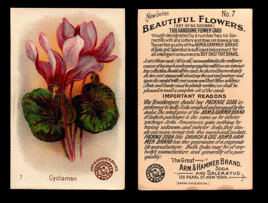Beautiful Flowers New Series You Pick Singles Card #1-#60 Arm & Hammer 1888 J16 #7 Cyclamen  - TvMovieCards.com