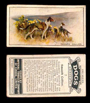 1925 Dogs 2nd Series Imperial Tobacco Vintage Trading Cards U Pick Singles #1-50 #7 Smooth Collies  - TvMovieCards.com