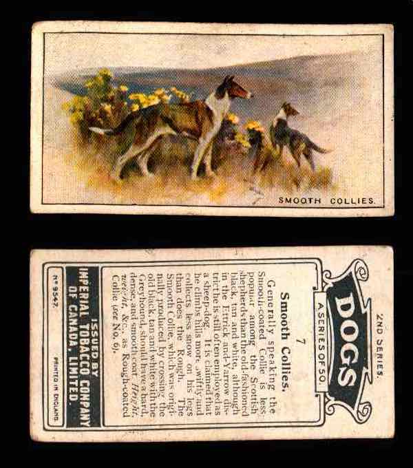 1925 Dogs 2nd Series Imperial Tobacco Vintage Trading Cards U Pick Singles #1-50 #7 Smooth Collies  - TvMovieCards.com